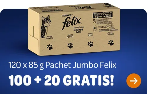 2024_08_Felix_JumboPacks_Offer_500x320_RO